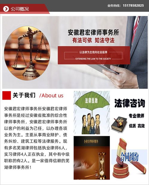 芜湖法律咨询 安徽君宏 民事纠纷法律咨询高清图片 高清大图